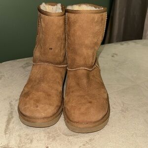 UGG Chestnut Boots